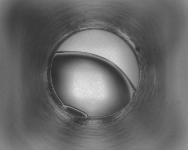X0000075360154200609080847