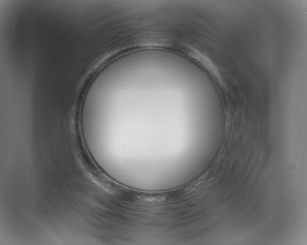 X0000075360155200609080847