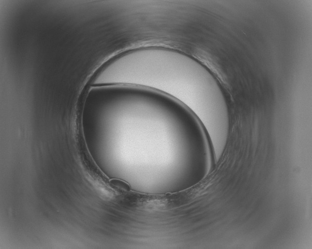 X0000075360156200609080847