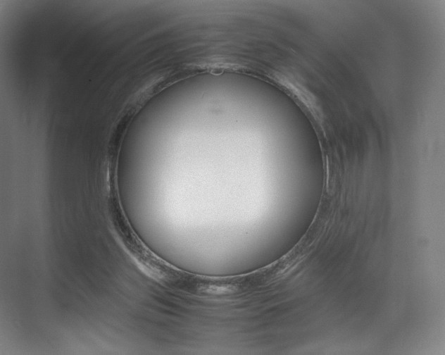 X0000075360157200609080847