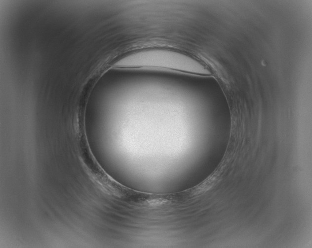 X0000075360158200609080847
