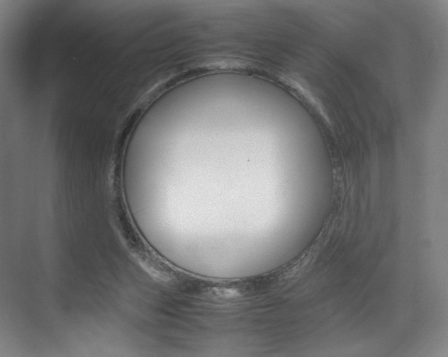 X0000075360159200609080848