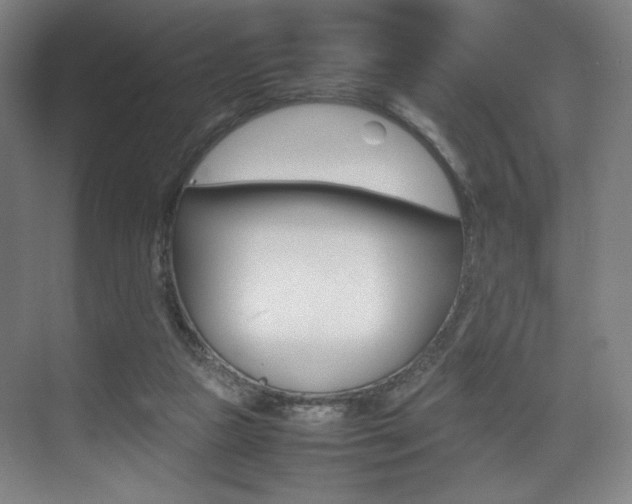 X0000075360161200609080848