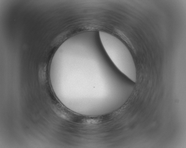 X0000075360163200609080848