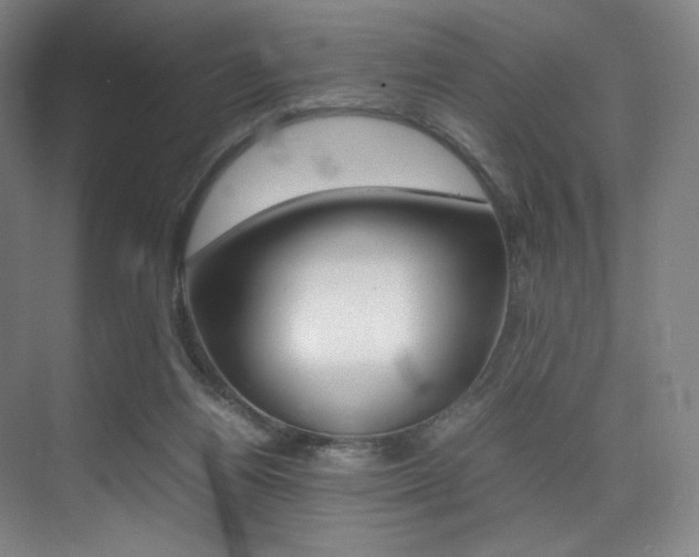 X0000075360164200609080848