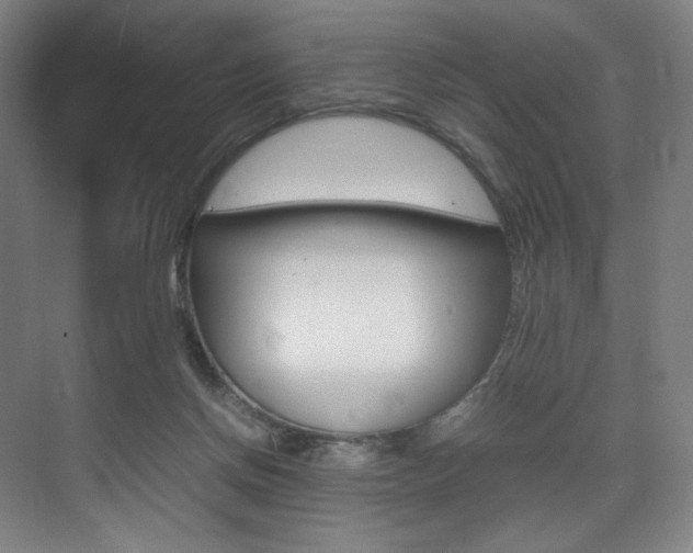 X0000075360166200609080848