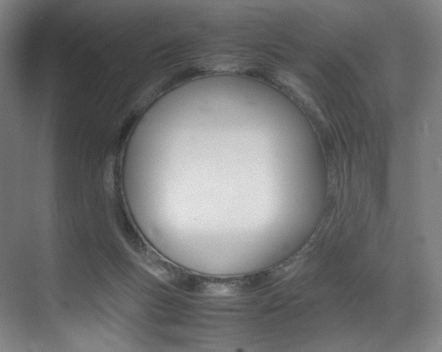 X0000075360167200609080848