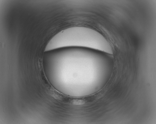 X0000075360169200609080848