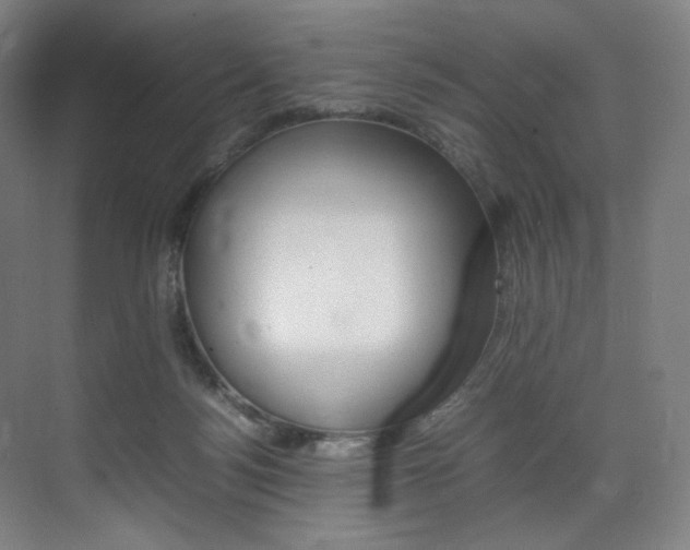 X0000075360172200609080848