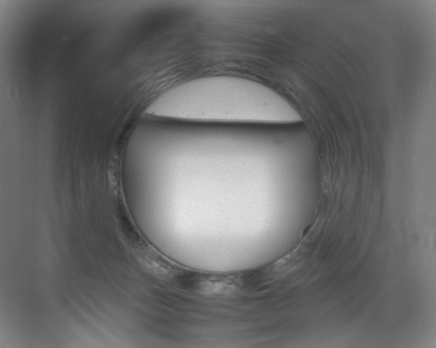 X0000075360175200609080848
