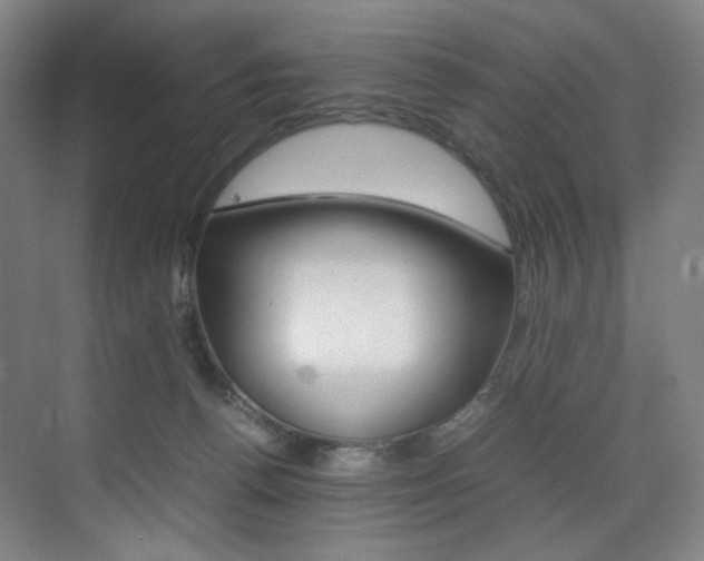 X0000075360176200609080848