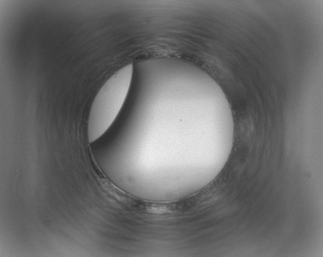 X0000075360177200609080848