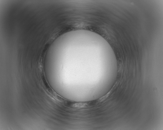 X0000075360179200609080848