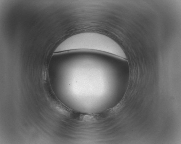 X0000075360180200609080848