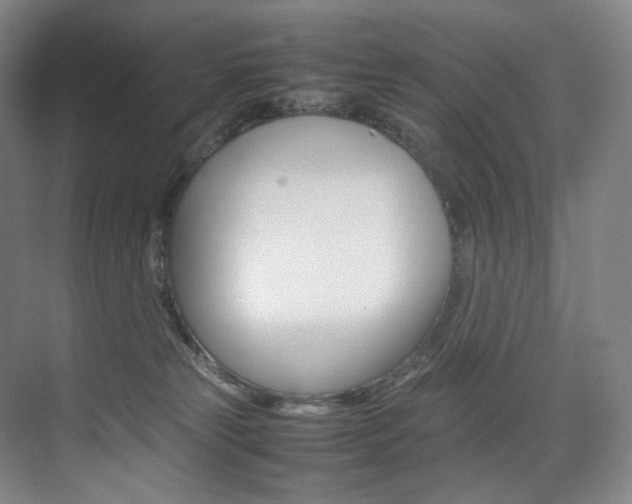 X0000075360181200609080848