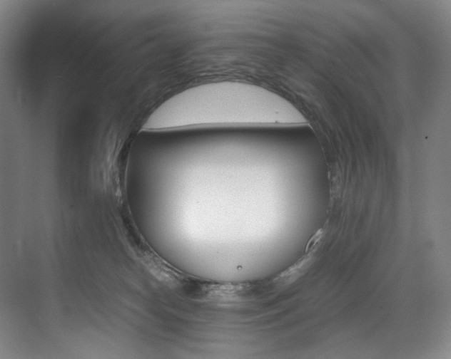 X0000075360182200609080848