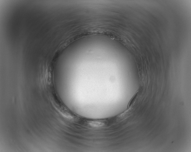 X0000075360183200609080848