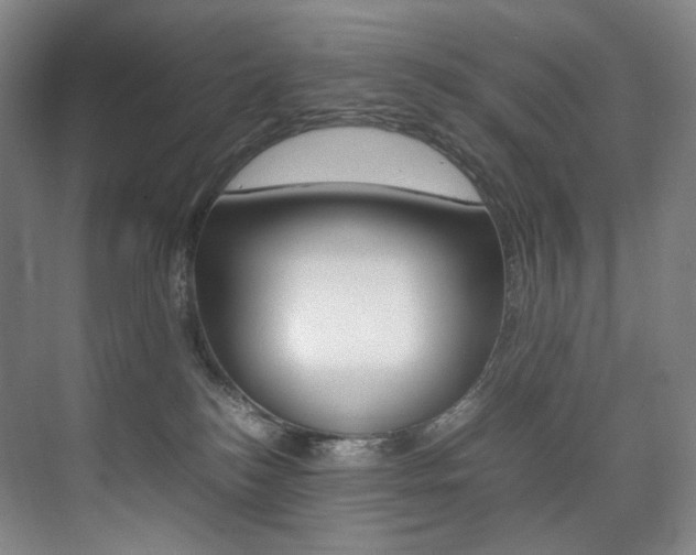 X0000075360184200609080848