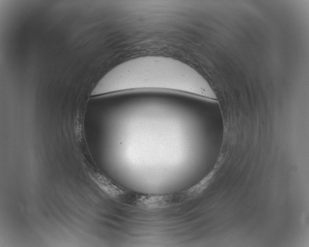 X0000075360186200609080848