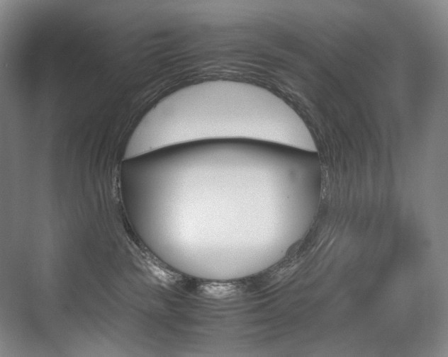 X0000075360189200609080848