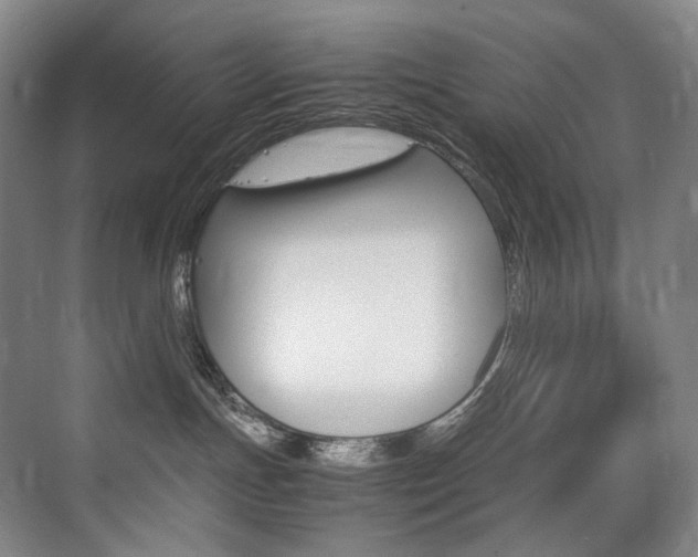 X0000075360191200609080848
