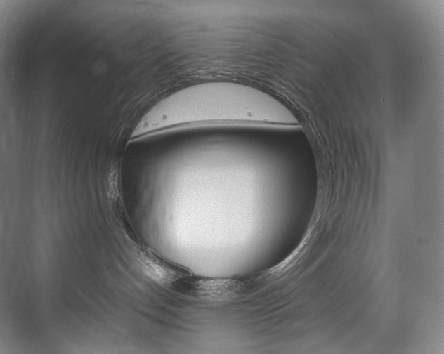 X0000075360192200609080848