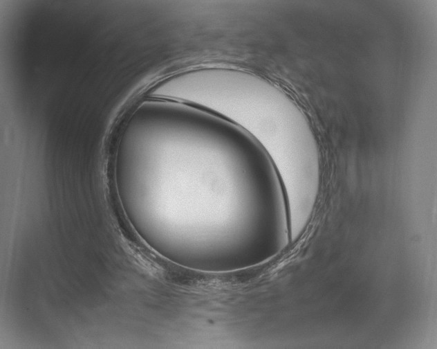 X0000075360197200609080847