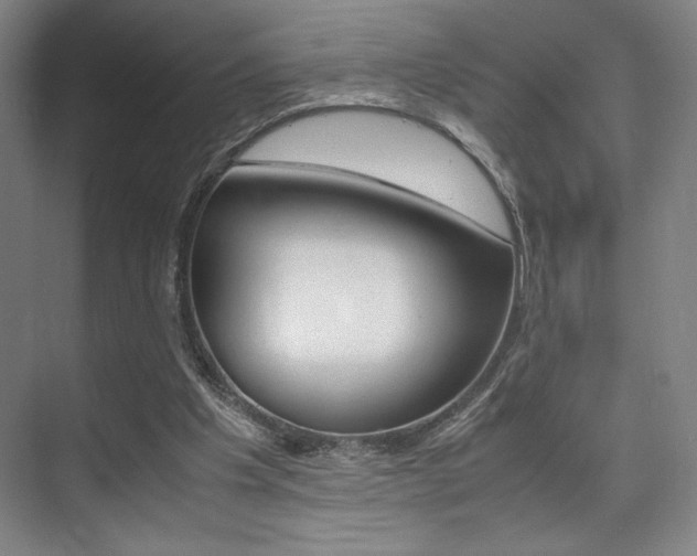 X0000075360201200609080847