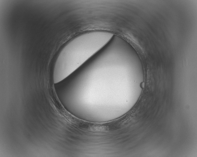X0000075360202200609080847