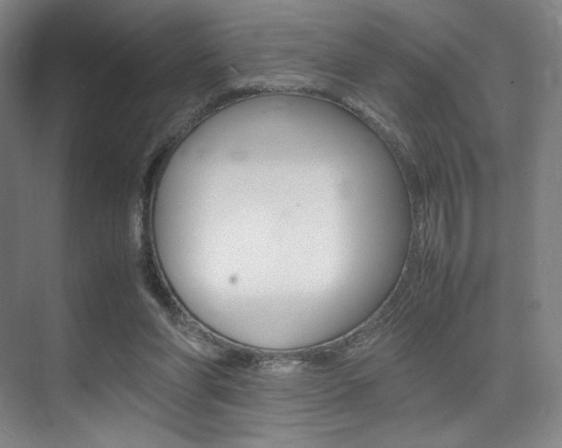 X0000075360206200609080847