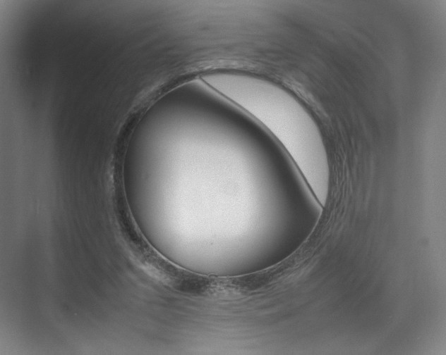 X0000075360207200609080847