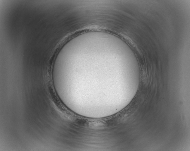 X0000075360208200609080847