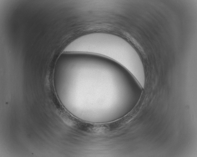 X0000075360209200609080847