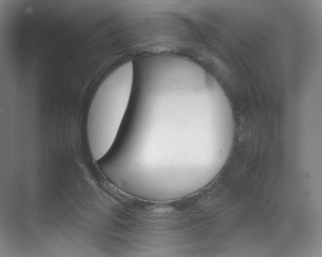 X0000075360210200609080847