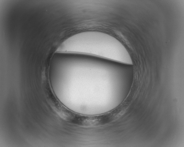 X0000075360213200609080847