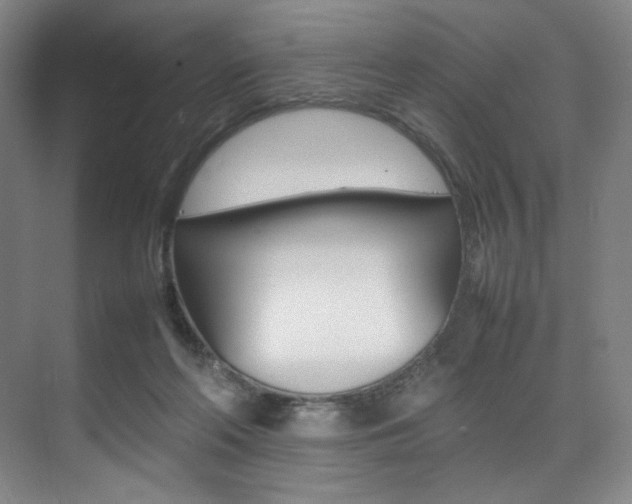 X0000075360214200609080847