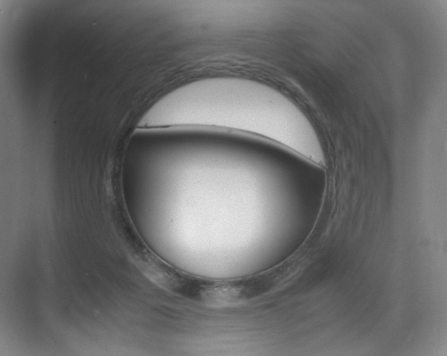 X0000075360217200609080847