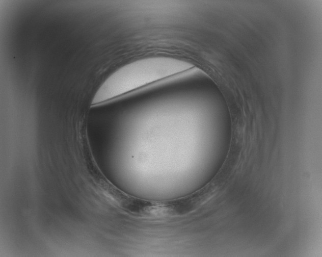 X0000075360219200609080847