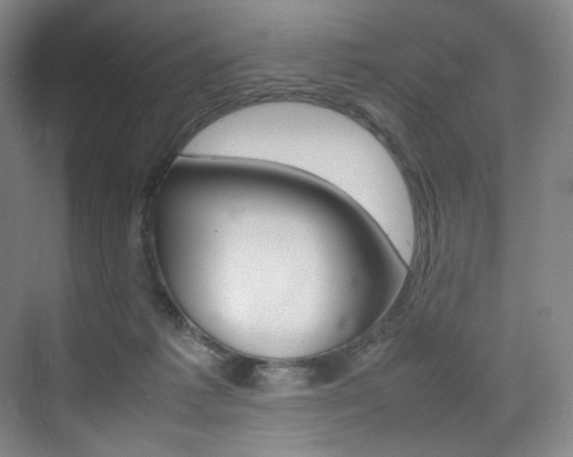 X0000075360221200609080847