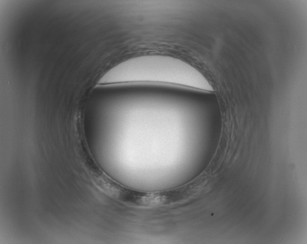 X0000075360225200609080847