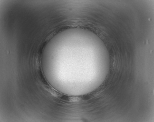 X0000075360226200609080847