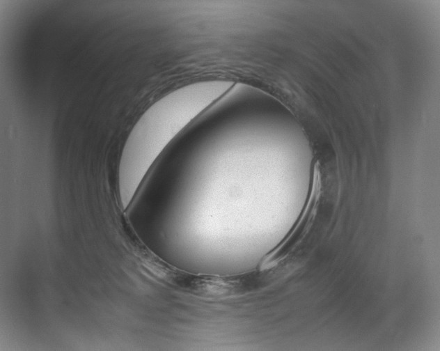 X0000075360229200609080847