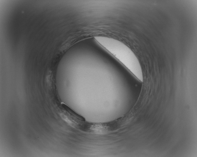 X0000075360231200609080847