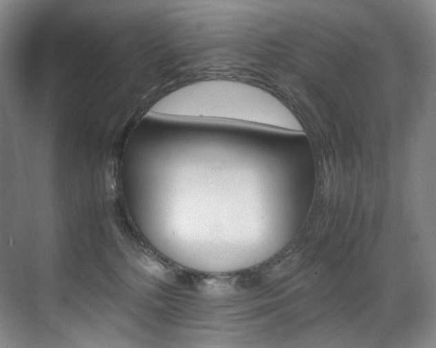 X0000075360232200609080847