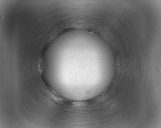 X0000075360234200609080847