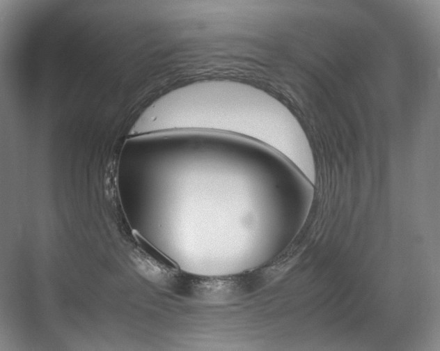 X0000075360237200609080847