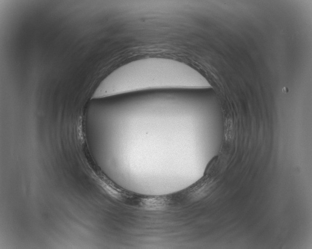 X0000075360238200609080846