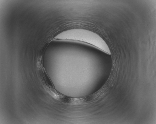 X0000075360239200609080846