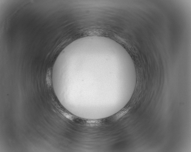 X0000075360240200609080846