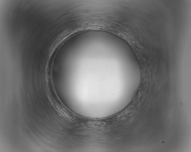 X0000075360242200609080846